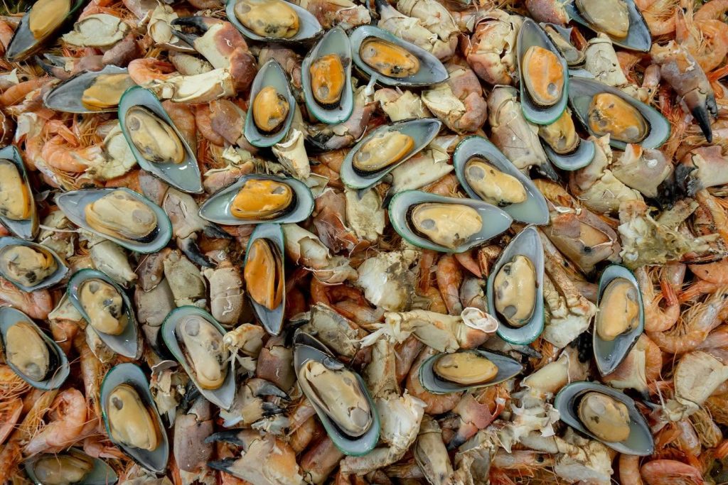 Mexilhões abertos com carne laranja, camarões e pedaços de caranguejo misturados numa banca de marisco.