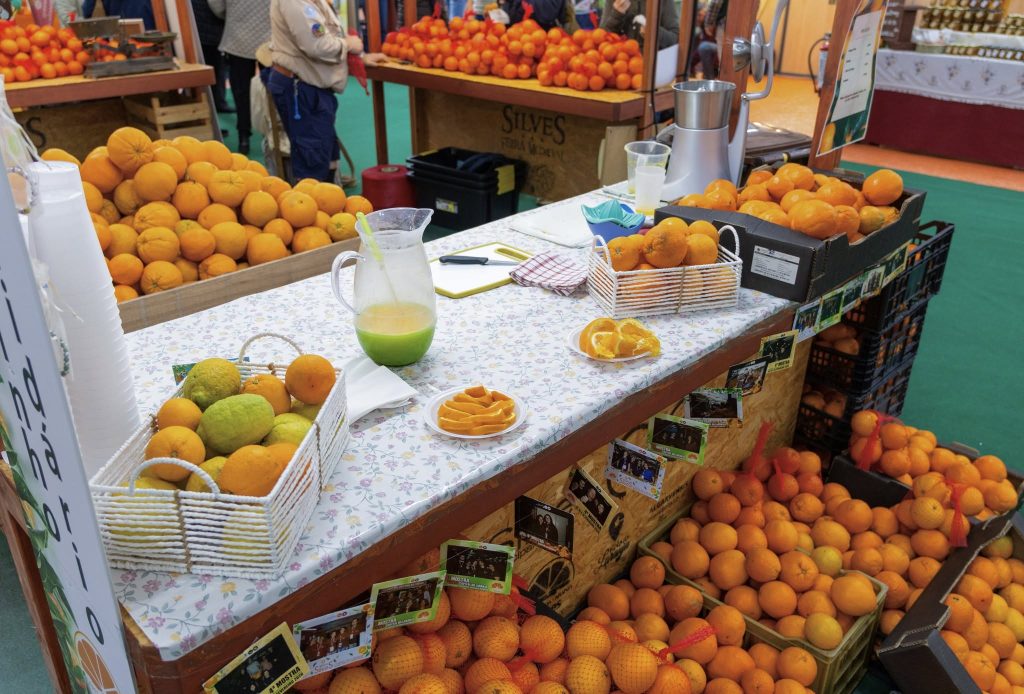Mesa com cestos de laranjas, jarro de sumo, copos e máquina de sumo, rodeada por caixas cheias de citrinos.