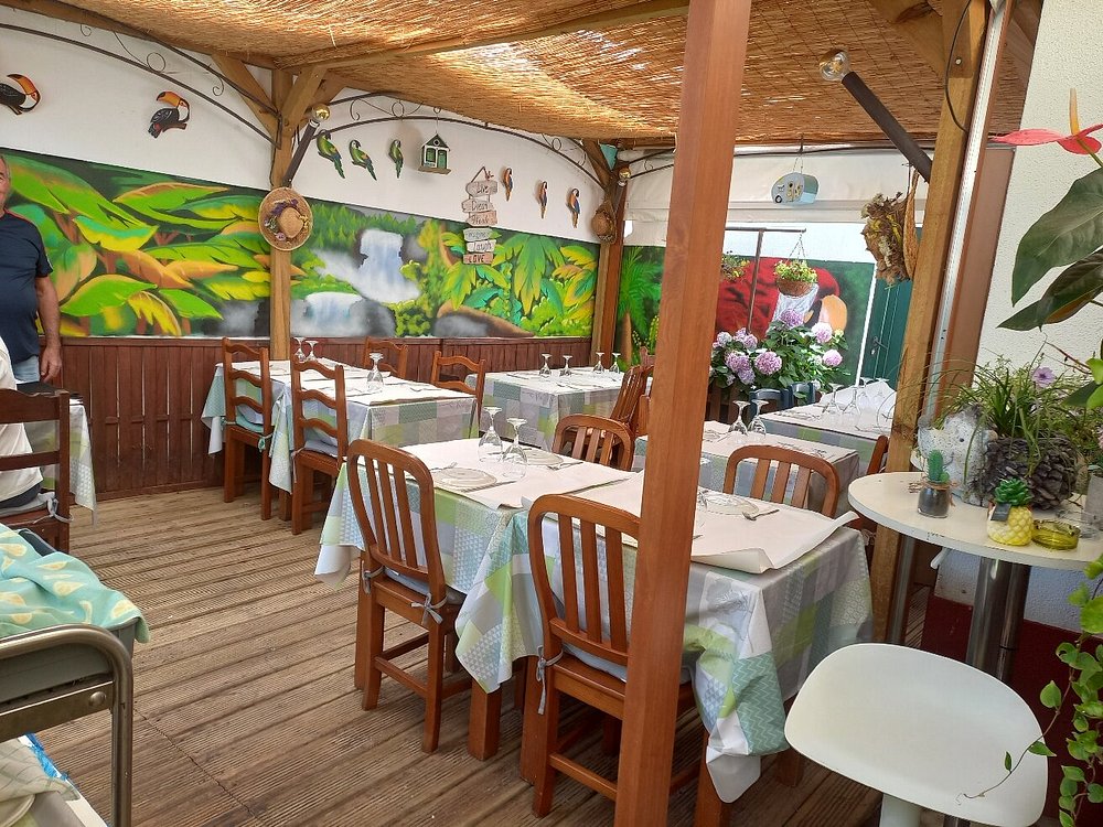 Esplanada coberta com pergola de madeira e teto entrançado; mesas com toalhas verdes e azuis, copos virados, mural tropical com aves e plantas; elementos decorativos como casinhas, plantas e placa de madeira.
