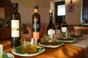 Quatro garrafas de azeite com rótulos distintos alinhadas sobre toalha dourada, acompanhadas de copos pequenos com azeite em pires brancos e guardanapos verdes.