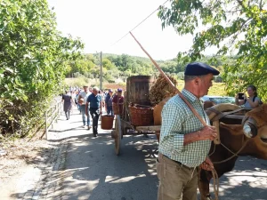 Homem guia boi marrom puxando carro de madeira com palha e cestos; grupo acompanha em estrada rural cercada por árvores e colinas.
