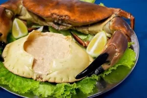 Sapateira cozida inteira servida em travessa com alface e limão, destacando a casca invertida e preenchida com o recheio cremoso do caranguejo