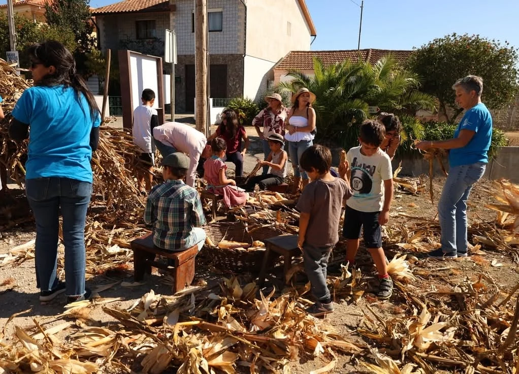 Grupo de adultos e crianças descascando milho em área residencial ensolarada, com folhas secas espalhadas e palmeiras ao fundo.