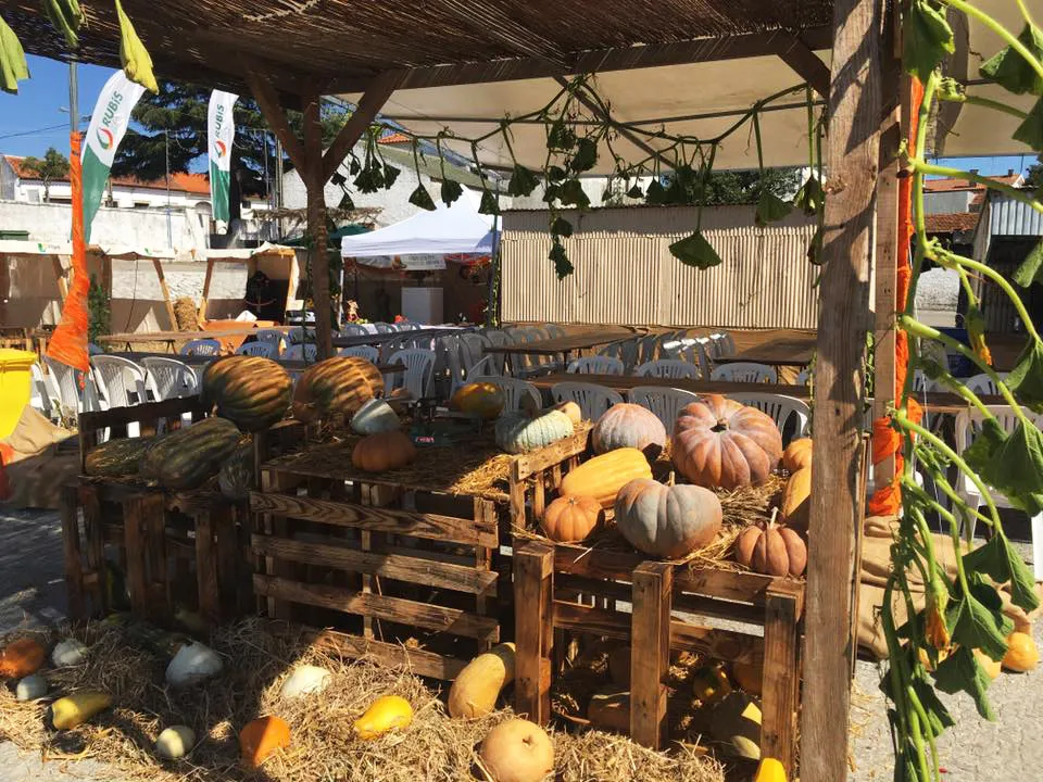 Estrutura de madeira exibe abóboras variadas com palha e vinhas, cadeiras brancas sob tenda ao fundo em ambiente festivo.
