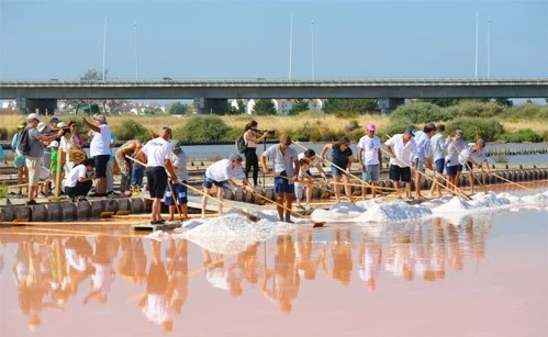 Grupo de pessoas coleta cristais de sal com ferramentas de madeira em salina de água rosada, sob céu claro, com ponte e vegetação ao fundo.