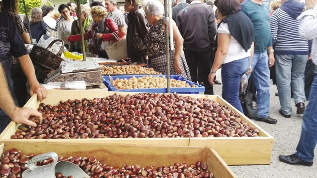 Bancas com castanhas expostas em caixas de madeira atraem grande público em feira ao ar livre, com pessoas observando, escolhendo e comprando produtos;
