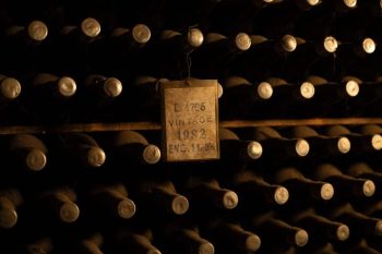 adega tradicional, com várias garrafas de vinho envelhecendo em prateleiras.