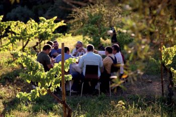 Experiência gastronómica na vinha de Prior Lucas